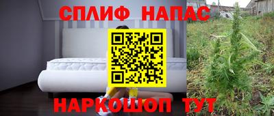 стаф Канаш